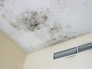 IAQ and mold management