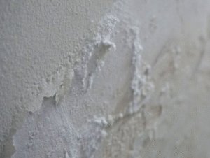 why mold returns
